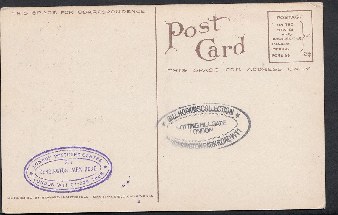 America Postcard - Salmon From The Traps, Bellingham, Washington  DR723