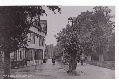 Sussex Postcard - The Causeway, Horsham    A6696