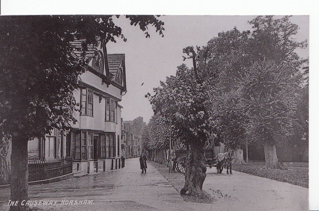 Sussex Postcard - The Causeway, Horsham    A6696