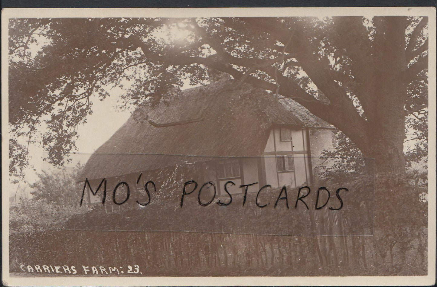 London Postcard - Carriers Farm, Highbury    V2102