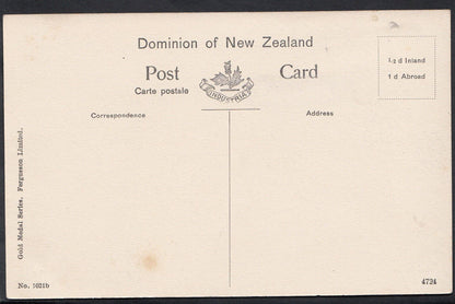 New Zealand Postcard - Supreme Court, Auckland   DR369