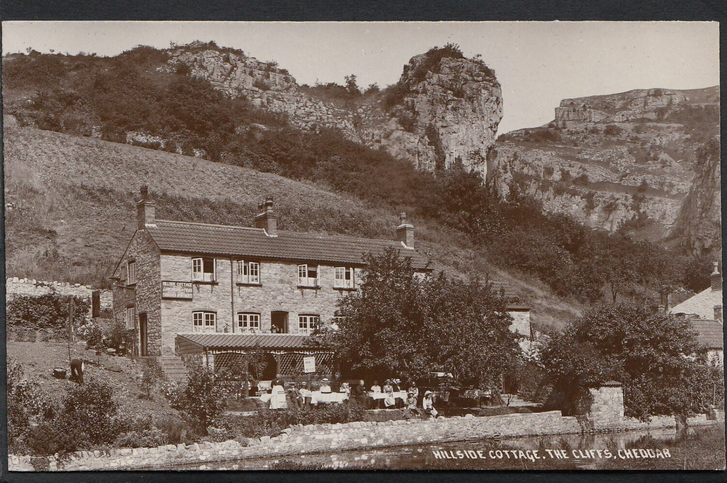 Somerset Postcard - Hillside Cottage Tea Rooms, The Cliffs, Cheddar    2502