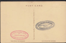 Load image into Gallery viewer, America Postcard - Westtown School, Walk Down The Lane   A5484
