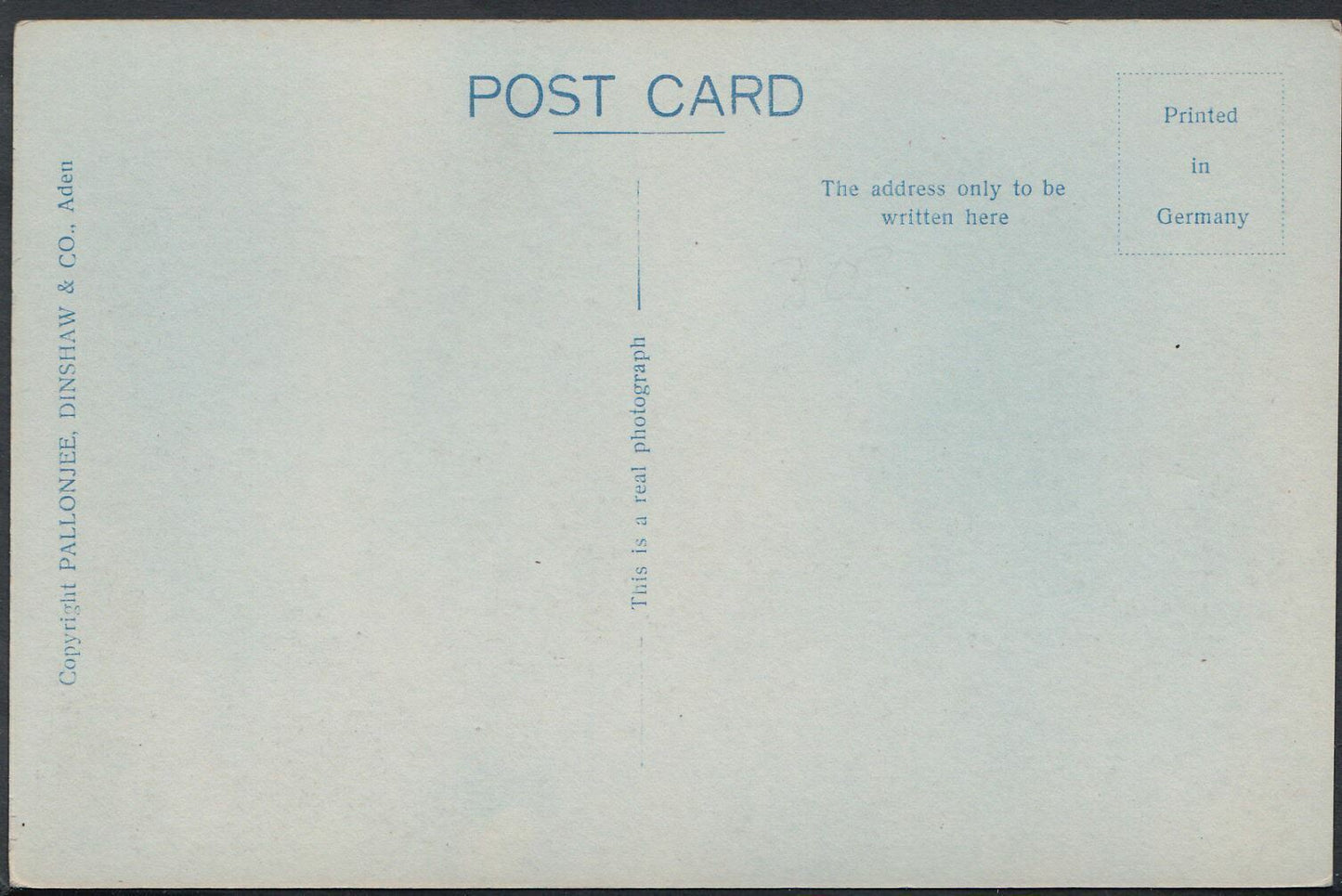 Middle East Postcard - Aden Camels    BH6101