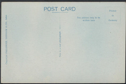 Middle East Postcard - Aden Camels    BH6101