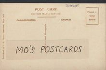 Load image into Gallery viewer, Shropshire Postcard - Street Scene in Knighton   C264
