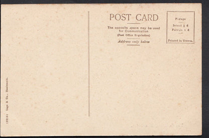 Surrey Postcard - The Institute, Hambledon  DD501