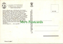 Load image into Gallery viewer, Food &amp; Drink Postcard - Recipe - La Choucroute Alsacienne - France  RR13732
