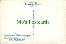 Load image into Gallery viewer, Animals Postcard - Birds - Seabirds - Puffins or Sea Parrots RR12912
