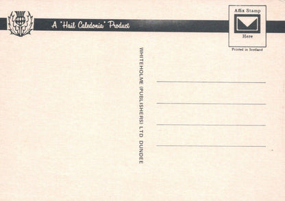 Scotland Postcard - The Trossachs From The Aberfoyle Road  RR9006