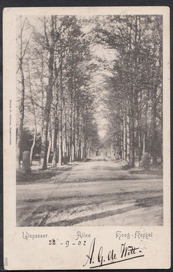 Netherlands Postcard - Ulepasser, Allee - Hoog-Keppel    RT718