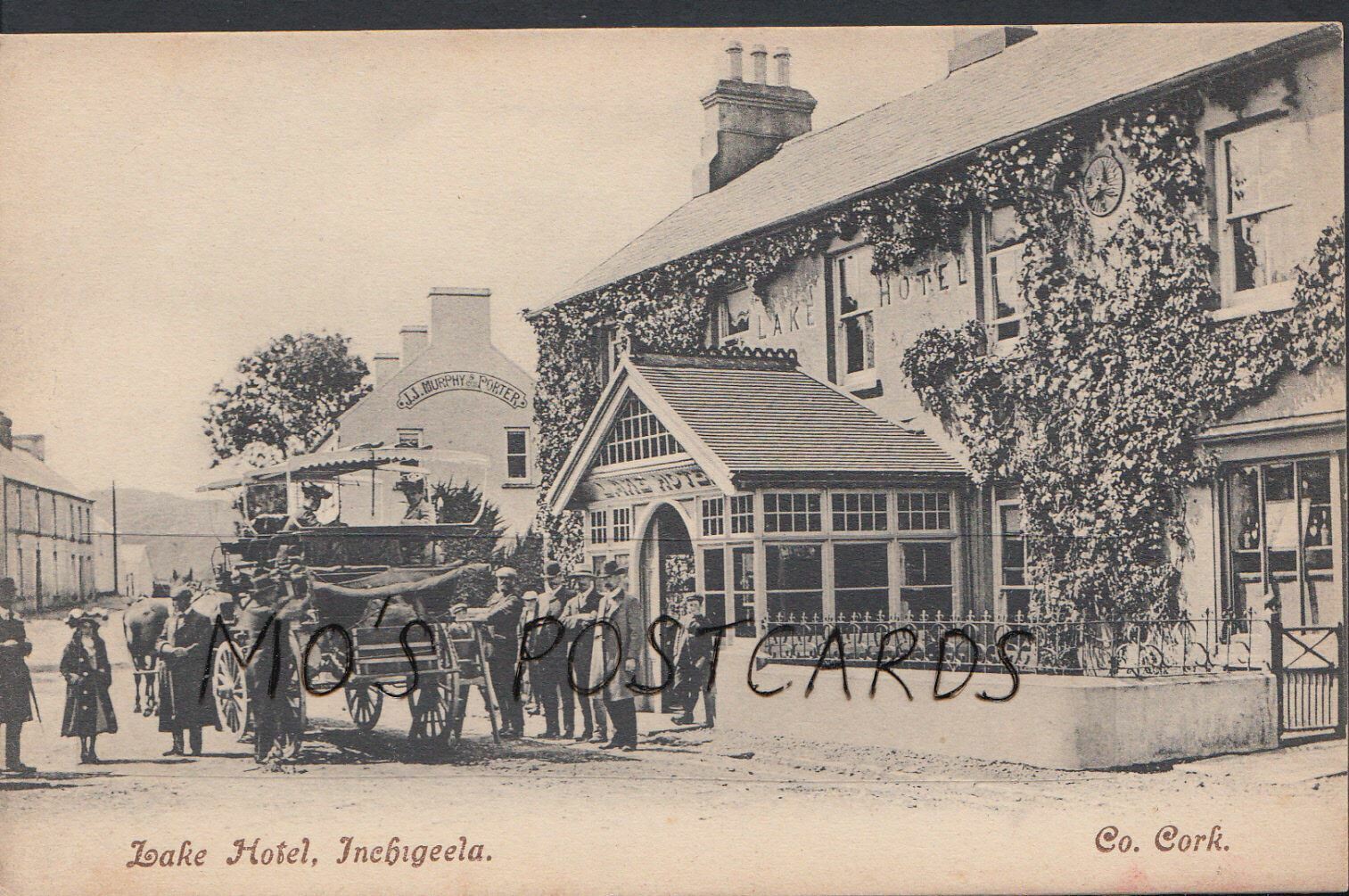 Ireland Postcard - Lake Hotel, Inchigeela, County Cork    W228