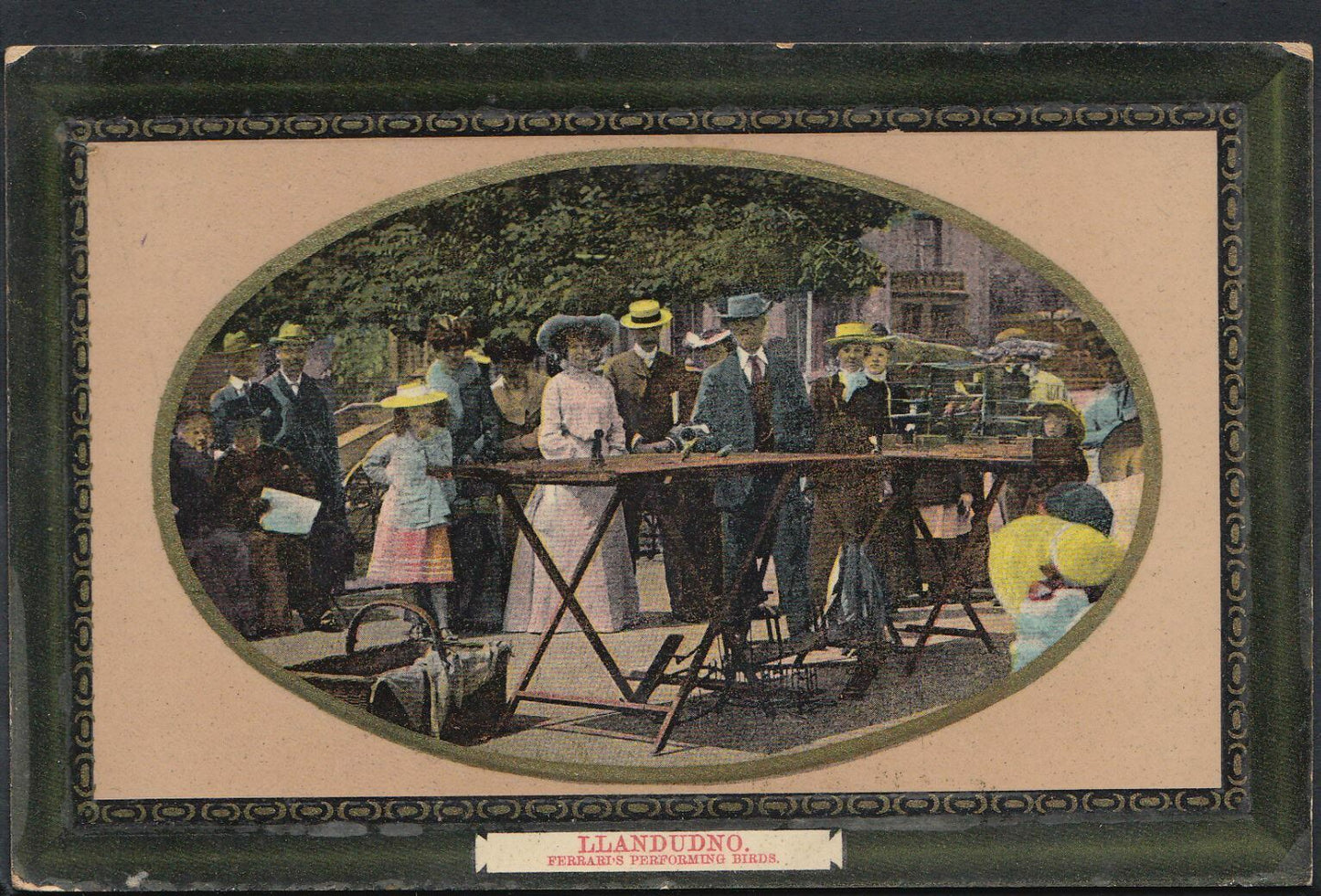 Wales Postcard - Llandudno - Ferrari's Performing Birds   V97