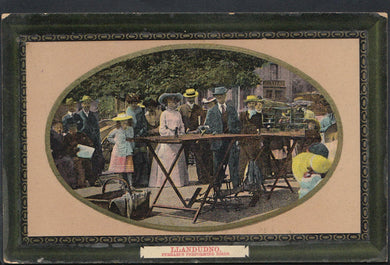 Wales Postcard - Llandudno - Ferrari's Performing Birds   V97