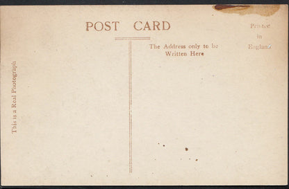 Middlesex Postcard - The Drive, Horsendon Hill, Near Harrow  MB758