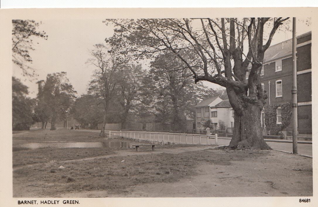 Hertfordshire Postcard - Barnet, Hadley Green   A6501