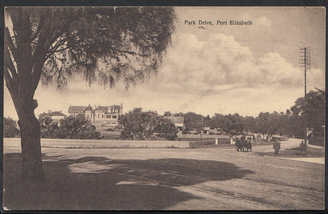 South Africa Postcard - Park Drive, Port Elizabeth    DR750