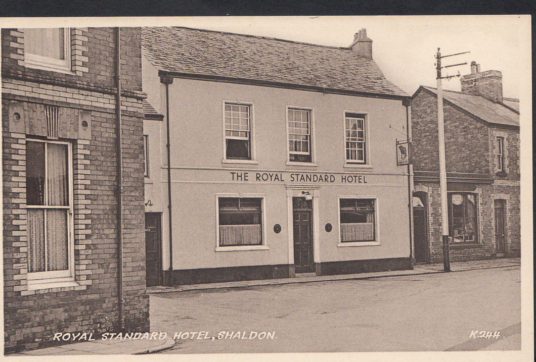 Devon Postcard - Royal Standard Hotel, Shaldon   BH6132