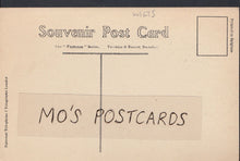 Load image into Gallery viewer, Wiltshire Postcard - Castle and Ball Hotel, Marlborough   1905
