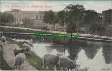 Load image into Gallery viewer, The Brighton Lake, Tunbridge Wells, Kent
