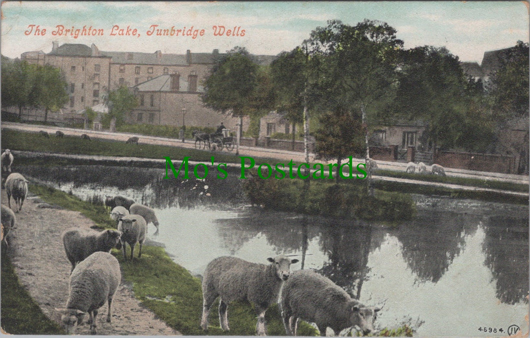 The Brighton Lake, Tunbridge Wells, Kent