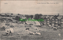 Load image into Gallery viewer, London Road and Sheep, Tunbridge Wells, Kent
