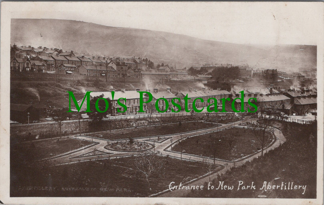 Entrance To New Park, Abertillery