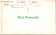 Load image into Gallery viewer, Coquetdale, Rothbury, Northumberland
