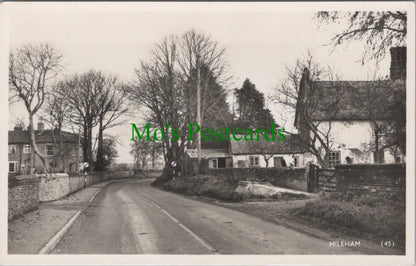 Mileham Village, Norfolk