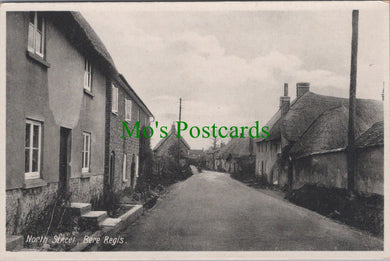 Dorset Postcard - North Street, Bere Regis Village Ref.SW9894