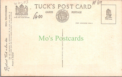 Wales Postcard - Craig-Y-Don, Queens Road Looking North HP619