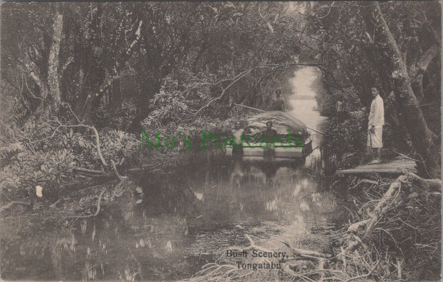 Tonga Postcard - Bush Scenery, Tongatabu   HP647