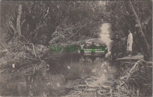 Tonga Postcard - Bush Scenery, Tongatabu   HP647