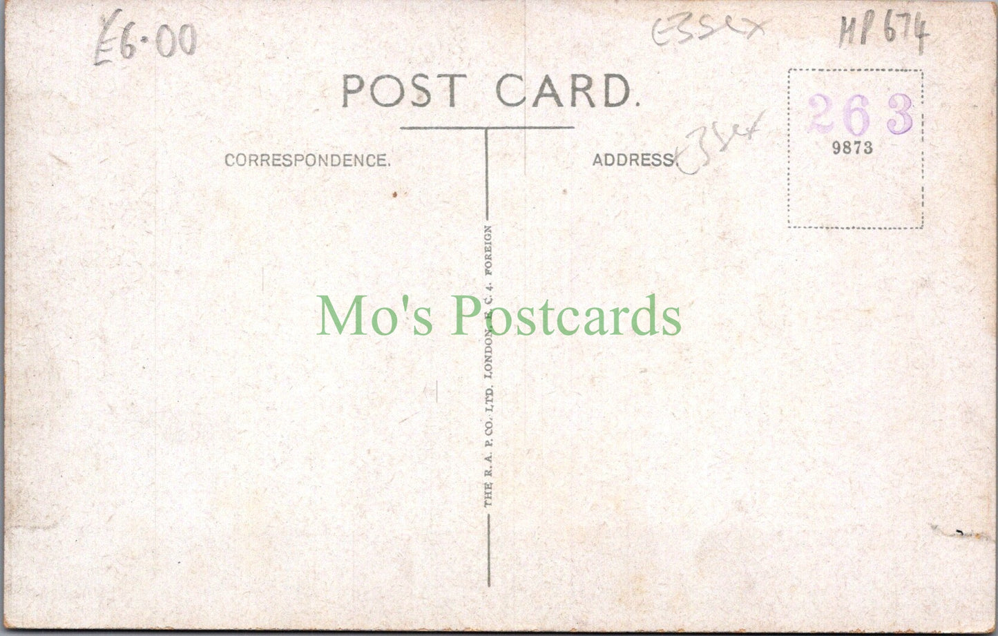 Essex Postcard - Halstead, Sudbury Road   HP674