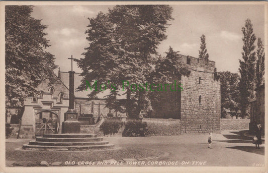Northumberland Postcard - Corbridge-On-Tyne, Old Cross HP683