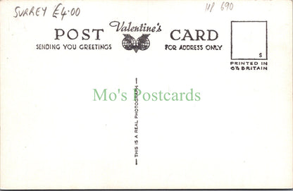 Surrey Postcard - Reigate, The Windmill, Wray Common HP690