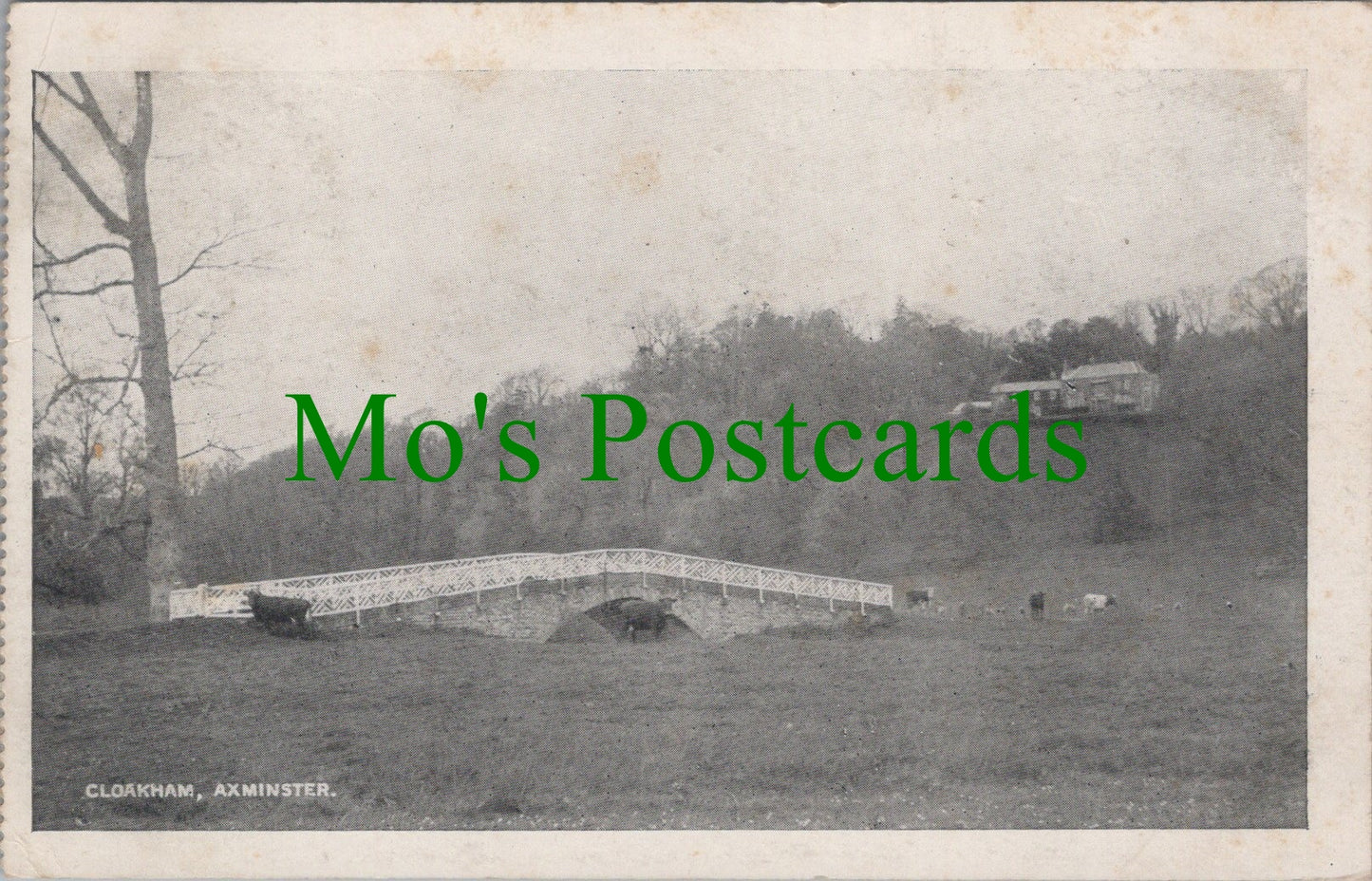 Devon Postcard - Cloakham, Axminster Ref.SW10136