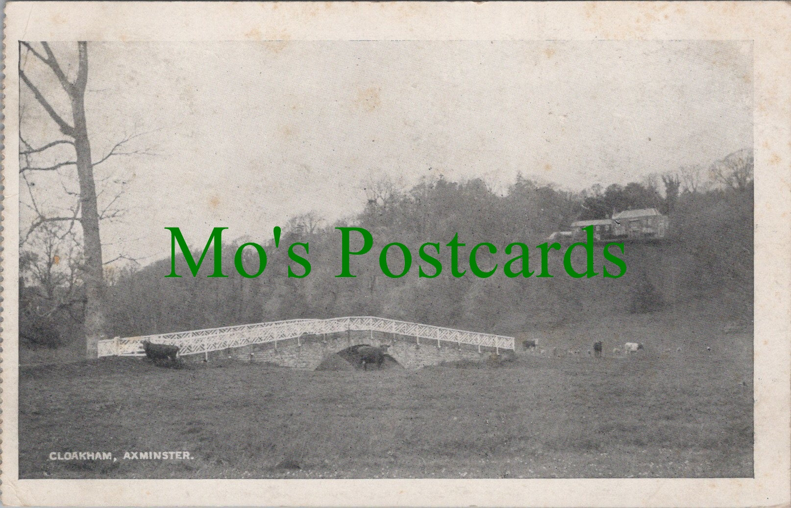 Devon Postcard - Cloakham, Axminster Ref.SW10136