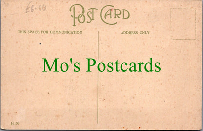Devon Postcard - Steep Hill, Parracombe  Ref.SW10146