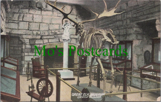 Isle of Man Postcard - Great Elk, Museum Castle, Rushen Ref.SW9776