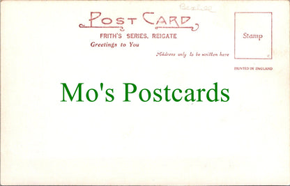 Essex Postcard - Leez Priory, Felsted   Ref.SW9800
