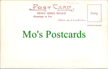 Load image into Gallery viewer, Essex Postcard - Leez Priory, Felsted   Ref.SW9800
