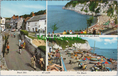 Views of Beer, Devon