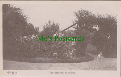 Norfolk Postcard - Tea Gardens, St Olaves  Ref.SW9937