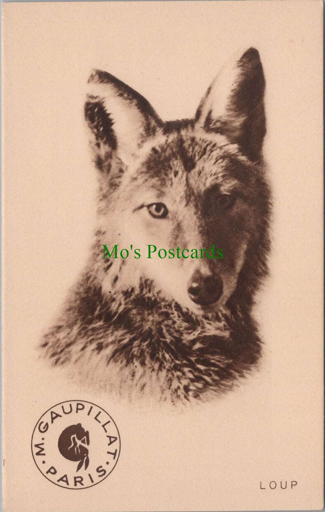 Animals Postcard - Wolf Dog    Ref.SW9871