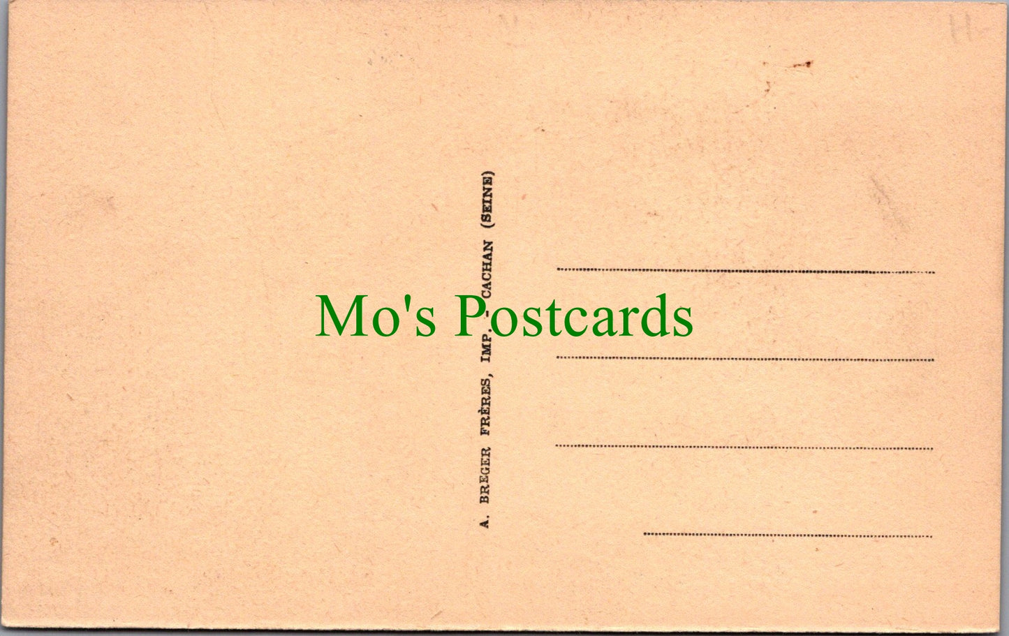 Animals Postcard - Wolf Dog    Ref.SW9871