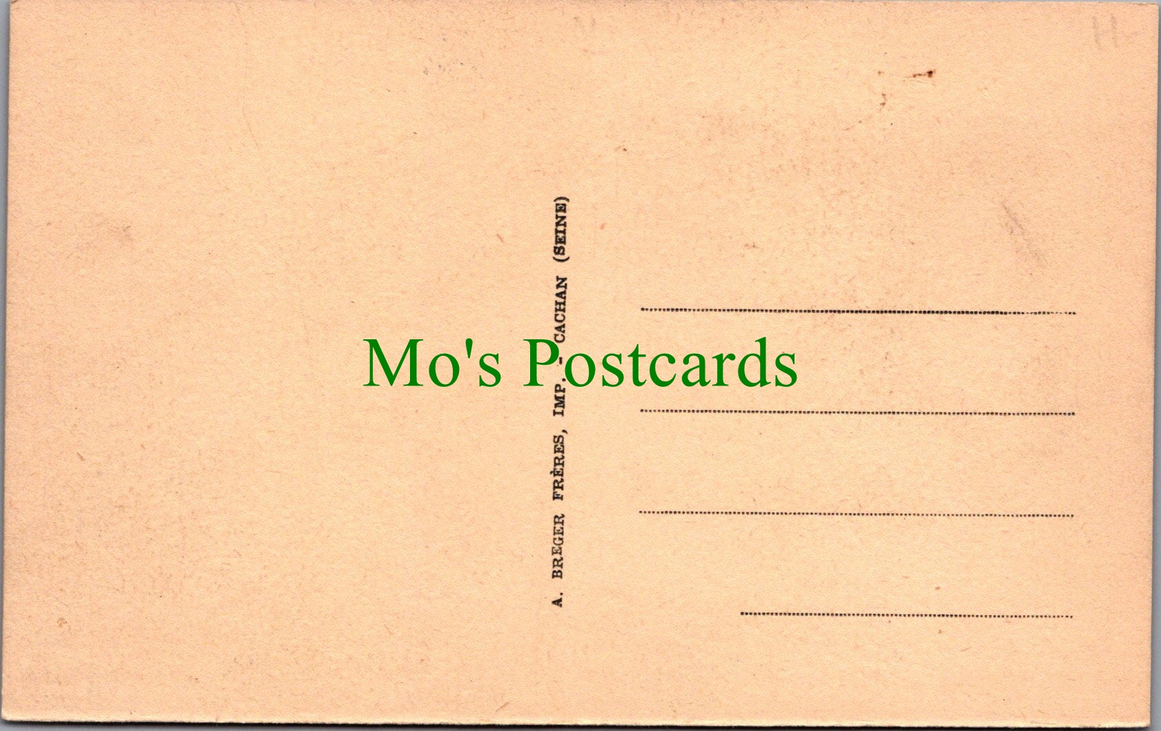 Animals Postcard - Wolf Dog    Ref.SW9871