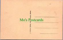 Load image into Gallery viewer, Animals Postcard - Wolf Dog    Ref.SW9871
