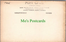 Load image into Gallery viewer, Animals Postcard - A Buffalo, Banff, Canada Ref.SW9872
