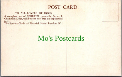 Animals Postcard - Dogs - A West Highland Terrier - "Sportex"  Ref.SW9876